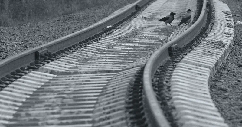 Қызылорда облысында 6 вагон рельстен шығып кетті