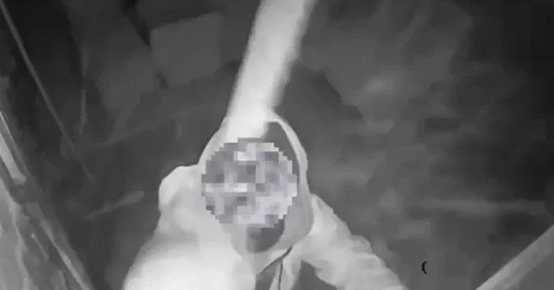 Думали уничтожить улики : жезказганцев задержали, несмотря на разбитую камеру