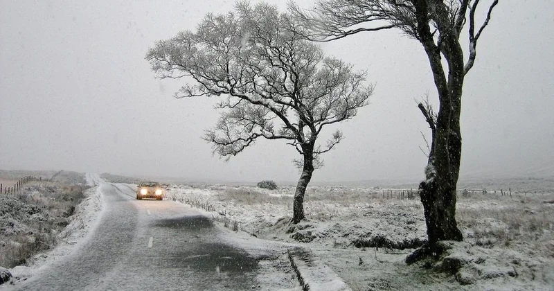 Смертельно опасно : спасатели обратились к жителям из за сильного ветра в Алматы