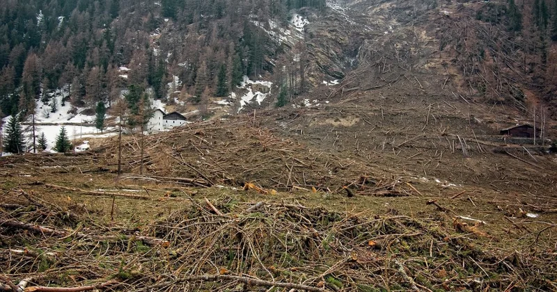 Очередной оползень сошел на дворы жилых домов в Алматинской области