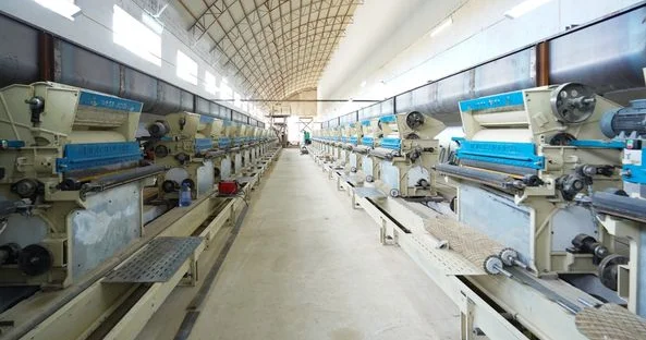 Көкшетауда жылына 300 мың тонна өсімдік майы өндірілмек