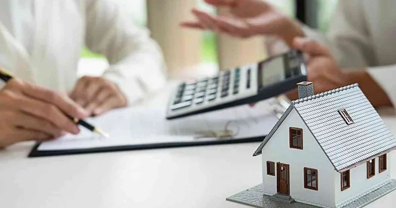 Наурыз бағдарламасын қаржыландыру арқылы қалай табыс табуға болады?