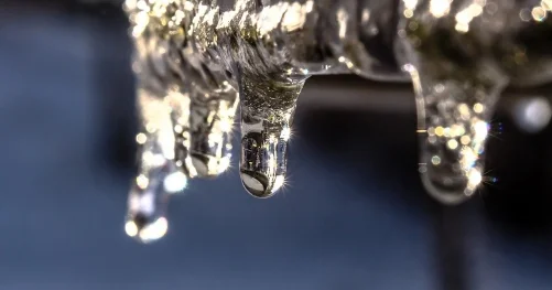 Плюсовая дневная температура установится в южных областях Казахстана