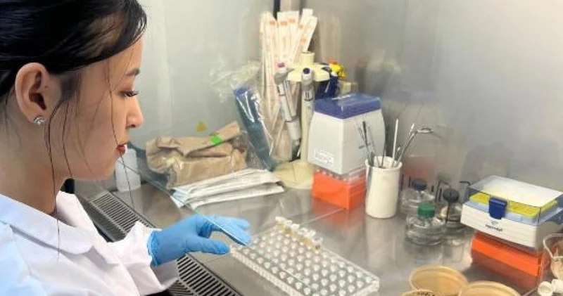 Қазақстандық ғалымдар иммунитетті нығайтуға және диабеттің алдын алуға арналған өсімдік негізіндегі биологиялық белсенді қоспаларды әзірлеуде