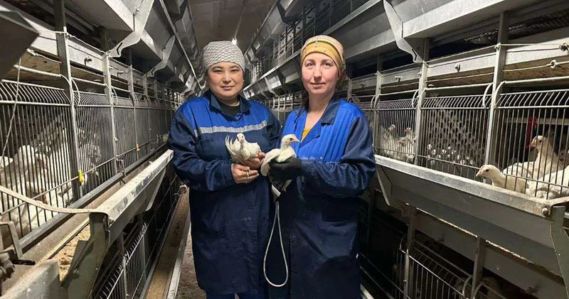 Продукция с всегда высоким спросом