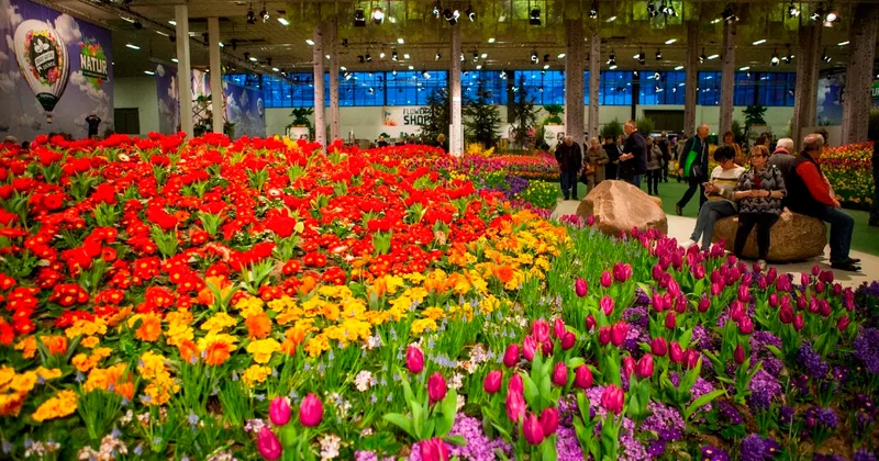 Ярмарка к 8 Марта пройдёт в Астане: фермерские продукты и цветы будут продавать два дня