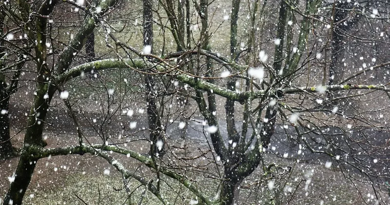 Прогноз погоды на 5 марта: осадки и усиление ветра ожидаются на всей территории Казахстана, кроме востока