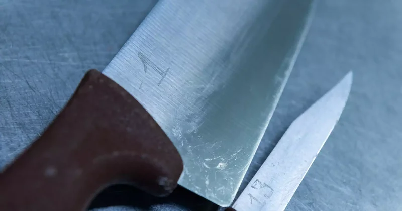 Талғарда ер адамды әйелі мен енесі 30 жерден пышақтап өлтірді