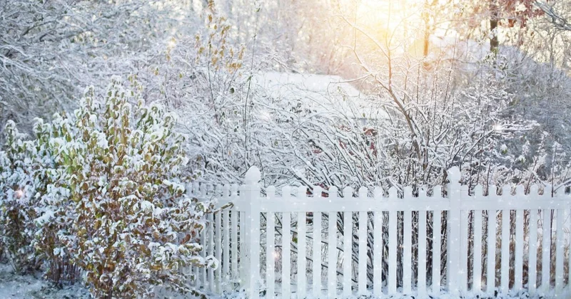 Соседи раскрыли детали жестокого убийства семьи в Жибек Жолы