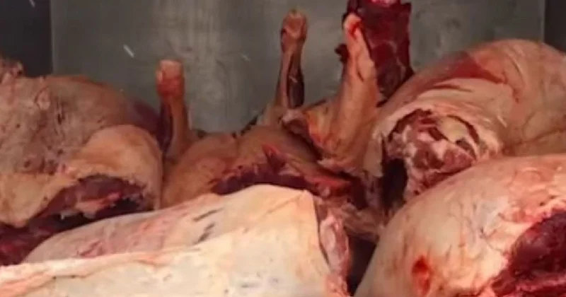 Сомнительное мясо поступало на рынки Астаны