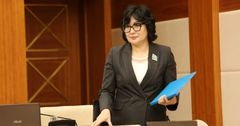 Депутат Ирандағы балалардың тағдырына алаңдаушылық білдірді