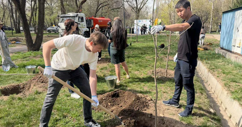 Аллея журналистов открыта в Алматы: вклад медиа в экологию города
