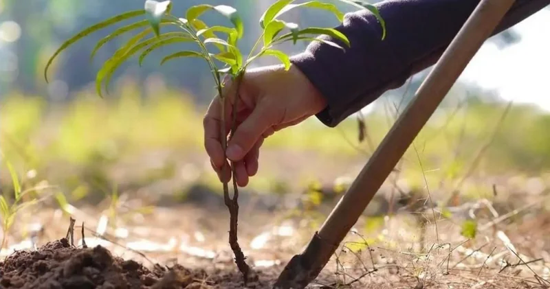 Таза Қазақстан тартымды болашақ