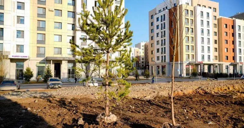 Миллион деревьев и кустарников высадят в Астане в этом году