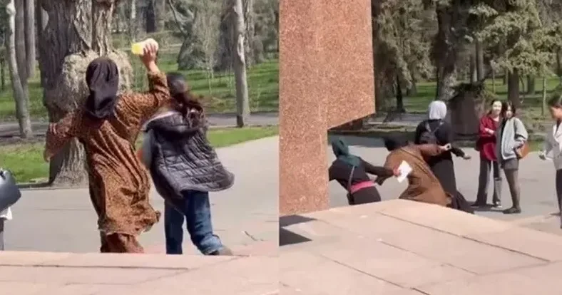 Алматыда адамдарға шабуылдаған шетелдік жасөспірімдерге қатысты сот үкімі шықты