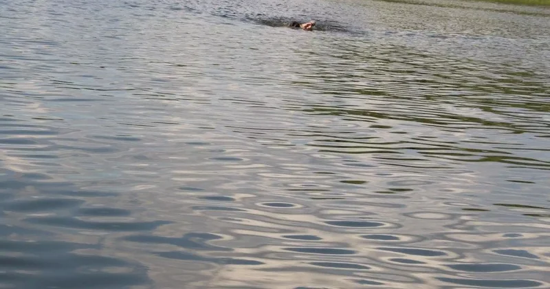 Түркістан облысында 2 жасар бала суға батып кетті