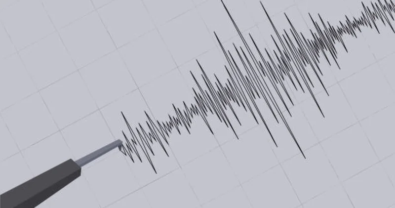 Қазақстанның оңтүстік өңірлерінде жер сілкінісі сезілді