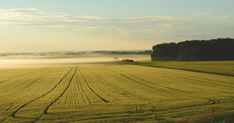 Шестое место в мире по площади сельхозугодий занимает Казахстан