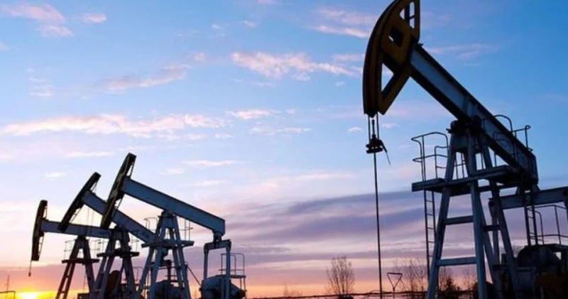 Қара алтынды көлегейлеген квазисектор