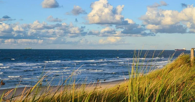 Где алматинцы смогут купаться этим летом, рассказали в МЧС