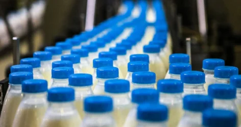 Молочные субсидии: экс директора ТОО осудили за хищение 334 миллионов тенге