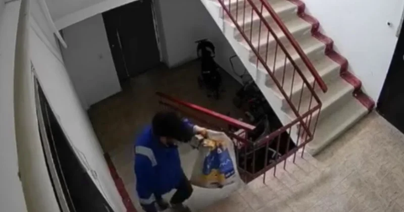 Пакетке салып, қоқысқа тастады : Атырауда мысық пен безектердің тағдырына байланысты дау туды