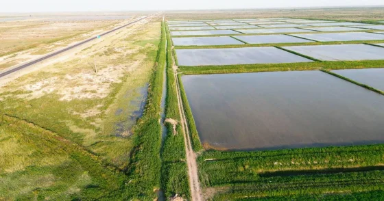 В Казахстане оцифровали распределение поливной воды