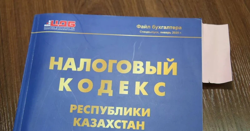 Налоговые системы Казахстана и Узбекистана сравнил известный экономист