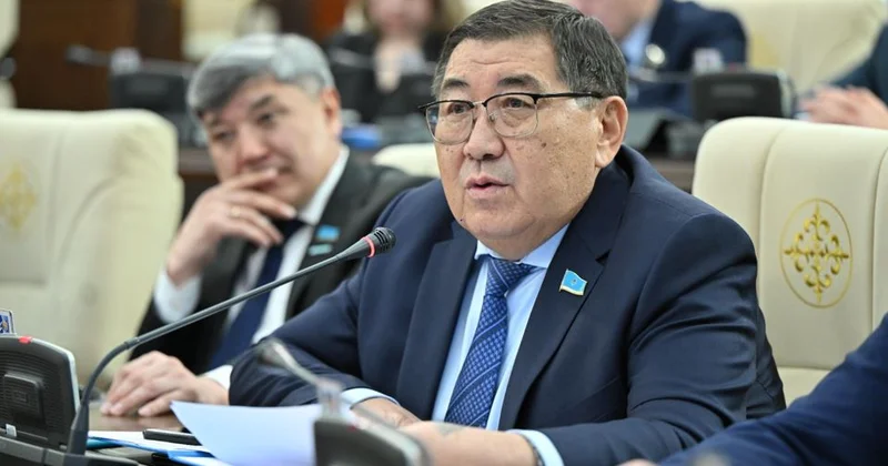 Құрылтай сайлауы: Ауқымды саяси реформаның маңызы