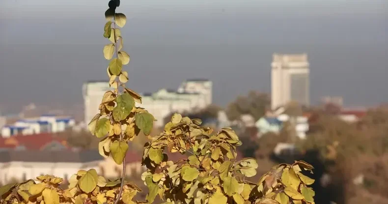 Ауа райы күрт нашарлайды . Алматы бойынша бір аптаға арналған ауа райы болжамы