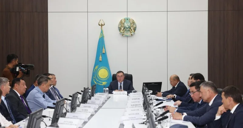 Ата Заң қуатты Қазақстан