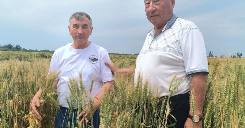Путь к процветанию лежит через укрупнение
