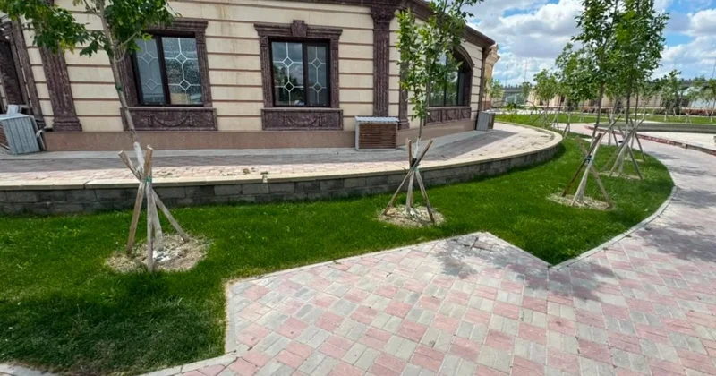 Ретро парктегі орындықтар қайда жоғалды?