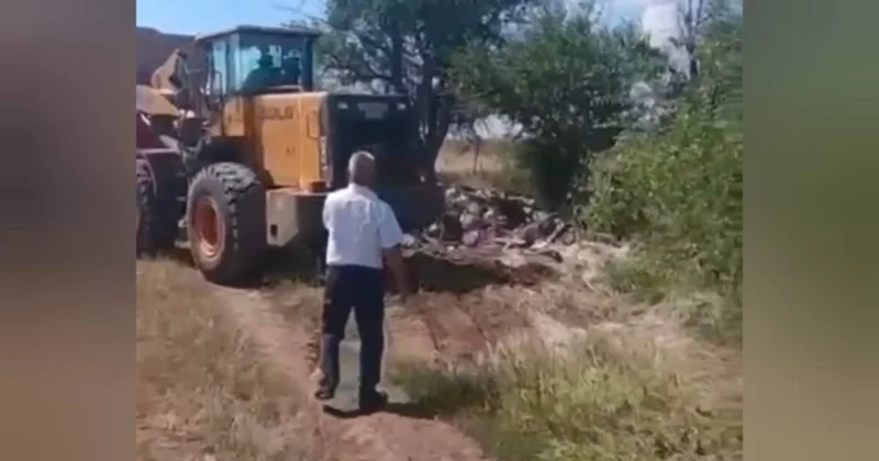 На помойке в Актобе нашли служебные документы больницы