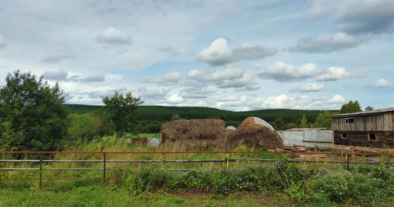 Ортақ пайдаланылатын жерлерді иеліктен шығаруға болмайды сот әкімдік шешімінің күшін жойды