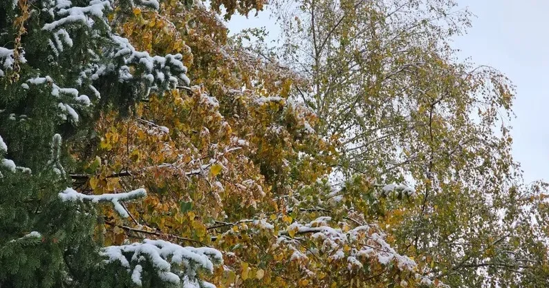 Қар аралас жаңбыр жауады . Астана, Алматы, Шымкент қалалары бойынша ауа райы болжамы