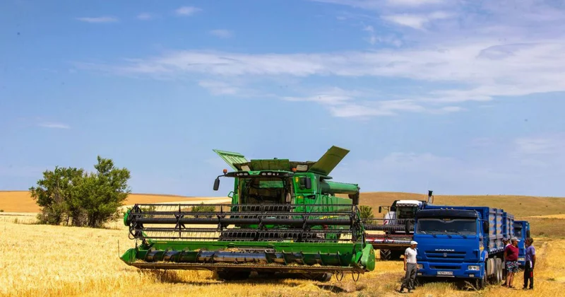 Елімізде шаруалар үшін кредиттік желілер тетігі енгізіледі
