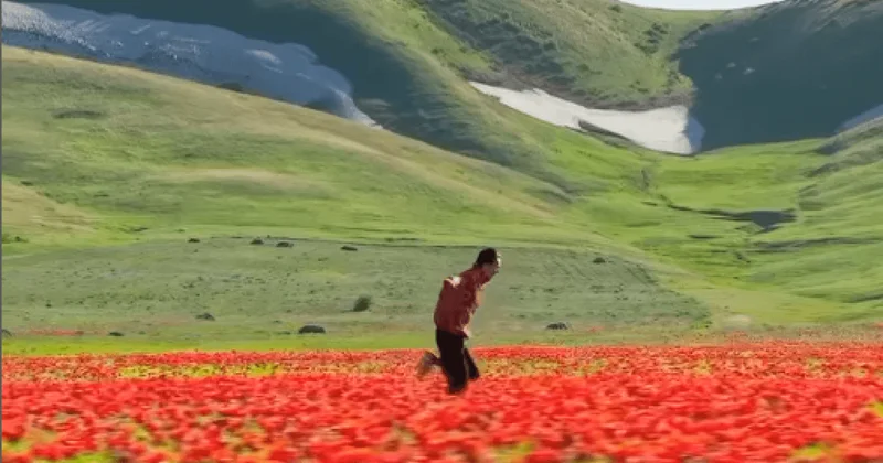 Instagram стал подписчиком казахстанца Дастана Мухамедрахима (ВИДЕО)