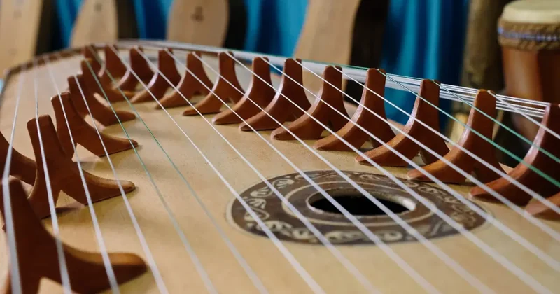 Музыкалық аспап шеберлеріне кәсіби мәртебе беру: Үкімет жауабы қандай