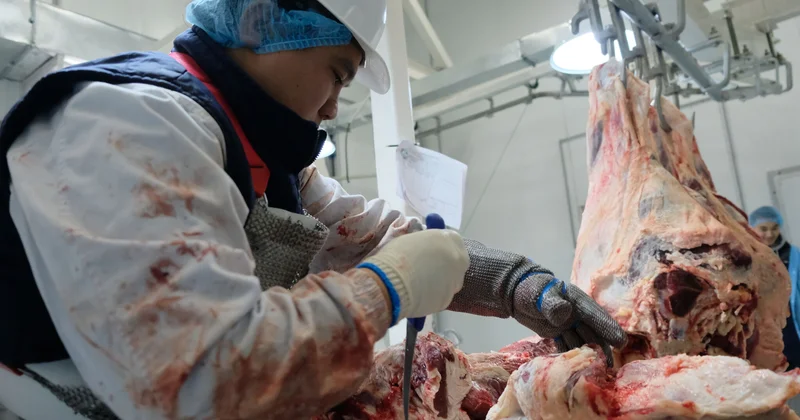 Стейк из обещаний средней прожарки