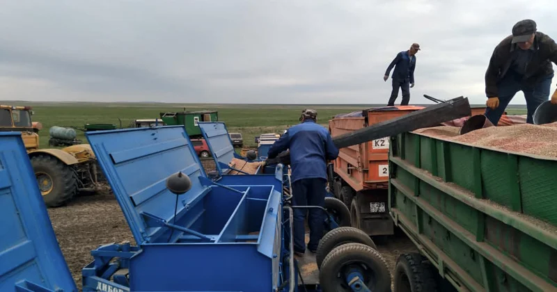 На заседании правительства подвели итоги уборочной кампании 2025
