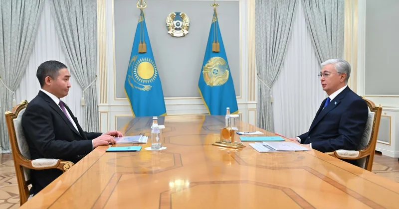 Глава государства принял учредителя группы компаний Qazaq Stroy