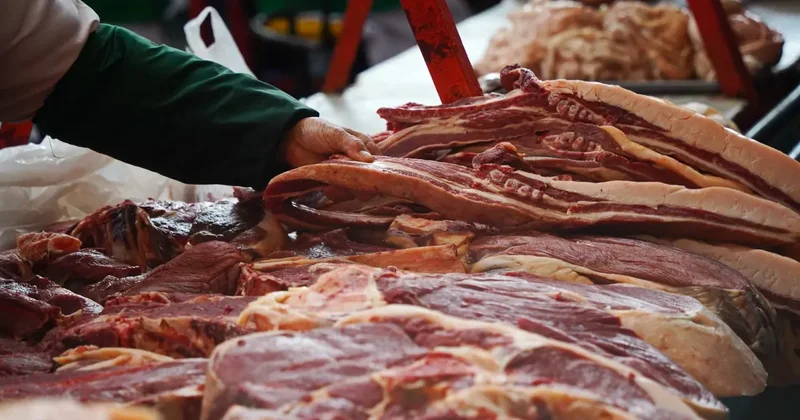 Мясо сайгаков начнут продавать в супермаркетах Казахстана