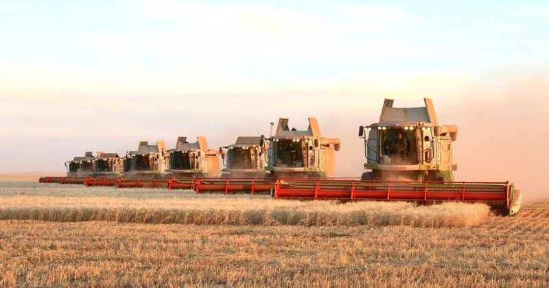 2026 жылғы егіс науқанын ерте қаржыландыру басталды