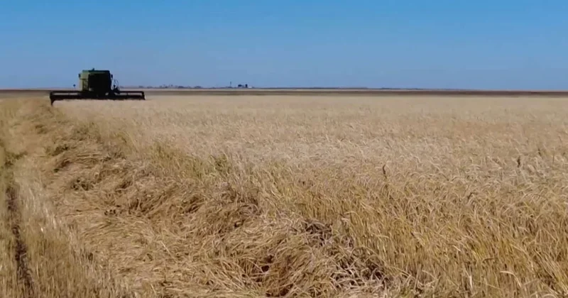 Күзгі жиын терім қорытындысы