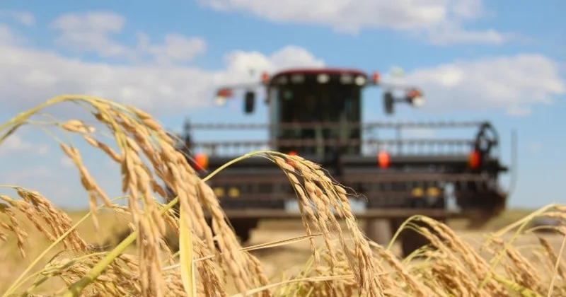 Ауыл шаруашылығы дақылдарынан рекордтық өнім жиналды