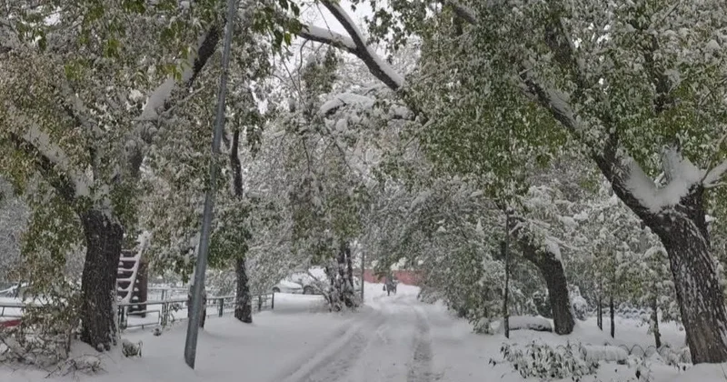 Еліміздің басым бөлігінде қар жауады: 4 қарашаға арналған ауа райы болжамы