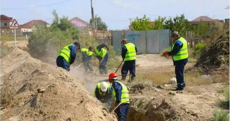 Сабалақтың саяжай болғаны соры ма?