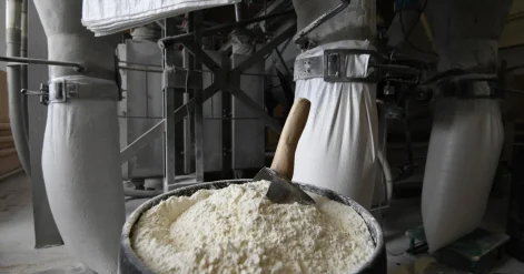 Премьер поручил привлекать инвестиции в проекты переработки продукции АПК