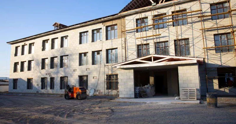 Долгострой птица гордая